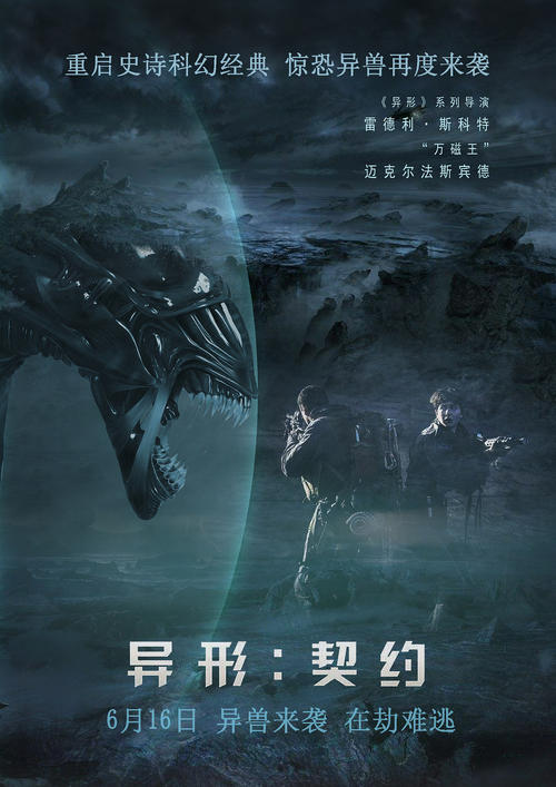 香港驾照为什么没照片